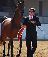 Filename=025.jpg
Filesize=293KiB
Dimensions=1440x1800
Date added=Dec 01, 2024 025.jpg